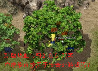 �°���Ѫ����2.0.5.70�ͻ�����ֱ�����ڴ���SF��Ϸ��