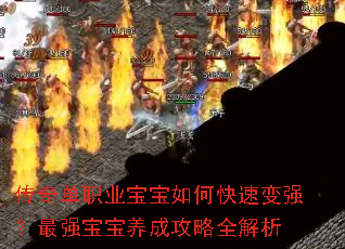 ���浥ְҵ������ο��ٱ�ǿ����ǿ�������ɹ���ȫ����