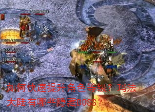 ��ο���������ɫ�ȼ����귨��½����Щ����BOSS��