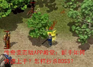 �����̬��APP���ã�������ο������֣�������ɱBOSS��
