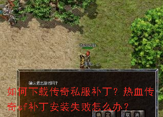 ������ش���˽����������Ѫ����sf������װʧ����ô�죿