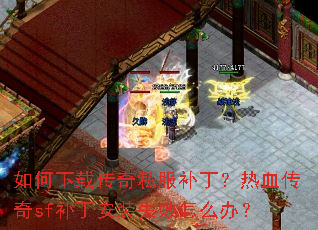 ������ش���˽����������Ѫ����sf������װʧ����ô�죿