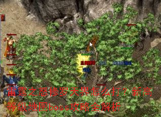 ����֮ŭ���������ô���¸ߵȼ���ͼboss����ȫ����