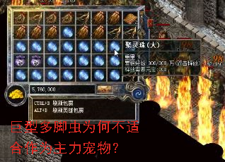 ���Ͷ�ų�Ϊ�β��ʺ���Ϊ�������