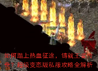 ���̤����Ѫ��;���������ߴ��棿������̬��˽������ȫ����