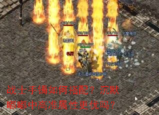սʿ������δ��䣿��Ĭ���и�׼���Ը�����