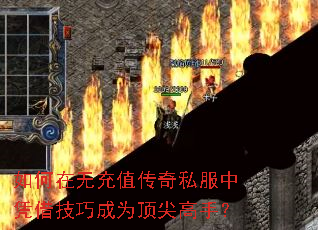 ������޳�ֵ����˽����ƾ�輼�ɳ�Ϊ������֣�