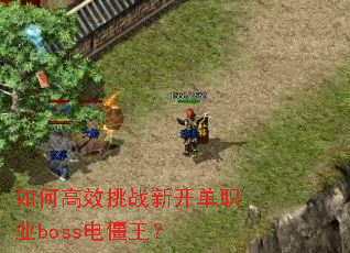 ��θ�Ч��ս�¿���ְҵboss�罩����