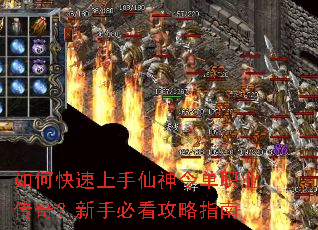 ��ο������������ְҵ���棿���ֱؿ�����ָ��