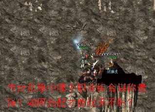 ����˽�����ĸ�ְҵ��Ͽ�����ǿ����δ������ս�޲�ʤ��