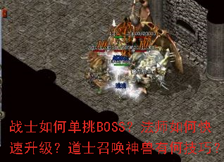 սʿ��ε���BOSS����ʦ��ο�����������ʿ�ٻ������кμ��ɣ�