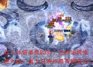 սʿ��ε���BOSS����ʦ��ο�����������ʿ�ٻ������кμ��ɣ�