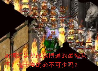 ����齨��ս�ݺ������ǿ���飿��ʿ��ıز�������