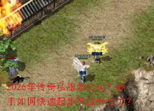 2026�괫��˽����ô�棿������ο�����������ս����