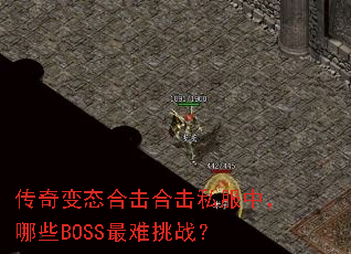 �����̬�ϻ��ϻ�˽���У���ЩBOSS������ս��