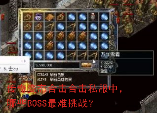 �����̬�ϻ��ϻ�˽���У���ЩBOSS������ս��