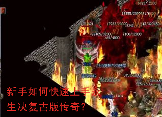 ������ο����������������Ű洫�棿