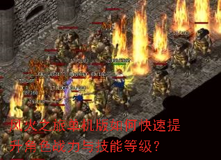 风火之旅单机版如何快速提升角色战力与技能等级? 风火之旅单机版如何快速提升角色战力与技能等级?