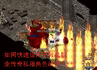 ��ο����������ⵥְҵ����˽����ɫս����
