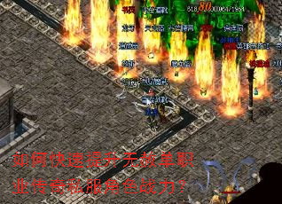 ��ο����������ⵥְҵ����˽����ɫս����