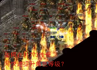 �����11773����������������ɫ�ȼ���