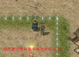 如何在传奇私服中高效获取元宝? 如何在传奇私服中高效获取元宝?