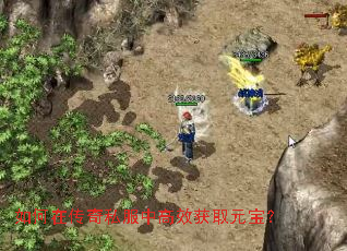 如何在传奇私服中高效获取元宝? 如何在传奇私服中高效获取元宝?