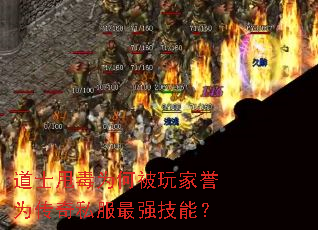 ��ʿ˦��Ϊ�α������Ϊ����˽����ǿ���ܣ�