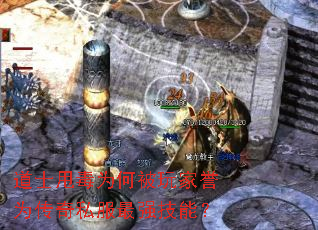 ��ʿ˦��Ϊ�α������Ϊ����˽����ǿ���ܣ�