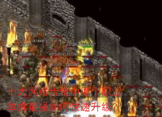 ʮ�����紫�����ĸ�ְҵ������ǿ��ο���������