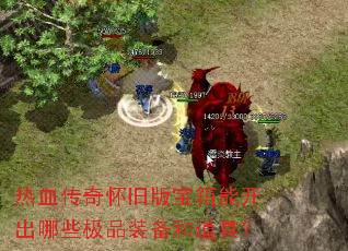 ��Ѫ���滳�ɰ汦���ܿ�����Щ��Ʒװ���͵��ߣ�