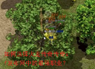 ���ѡ��������洫��sf�������е���ǿְҵ��