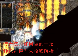 ���淨ʦ�������һ����ɱ���ޣ����Խ���